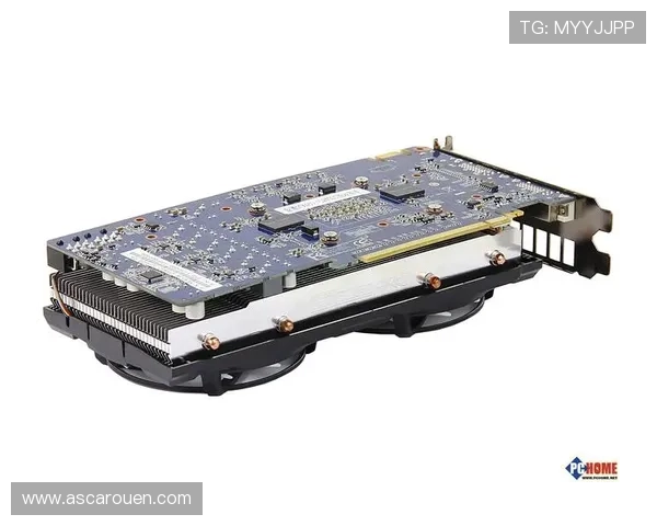 探索k8凯发官方网址最新游戏资源与玩法技巧，助你成为游戏高手